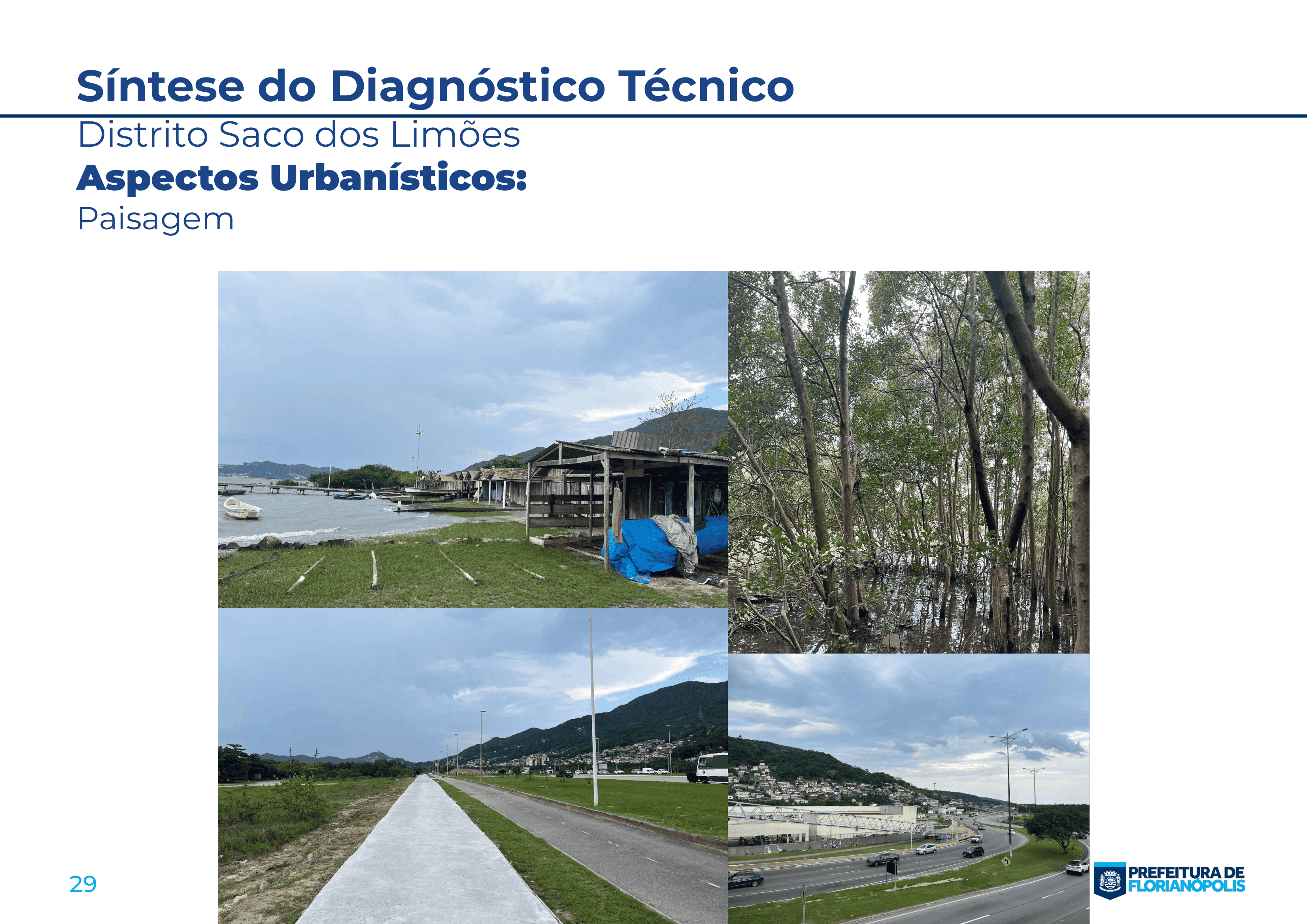 Documento síntese - Saco dos Limões-29.png