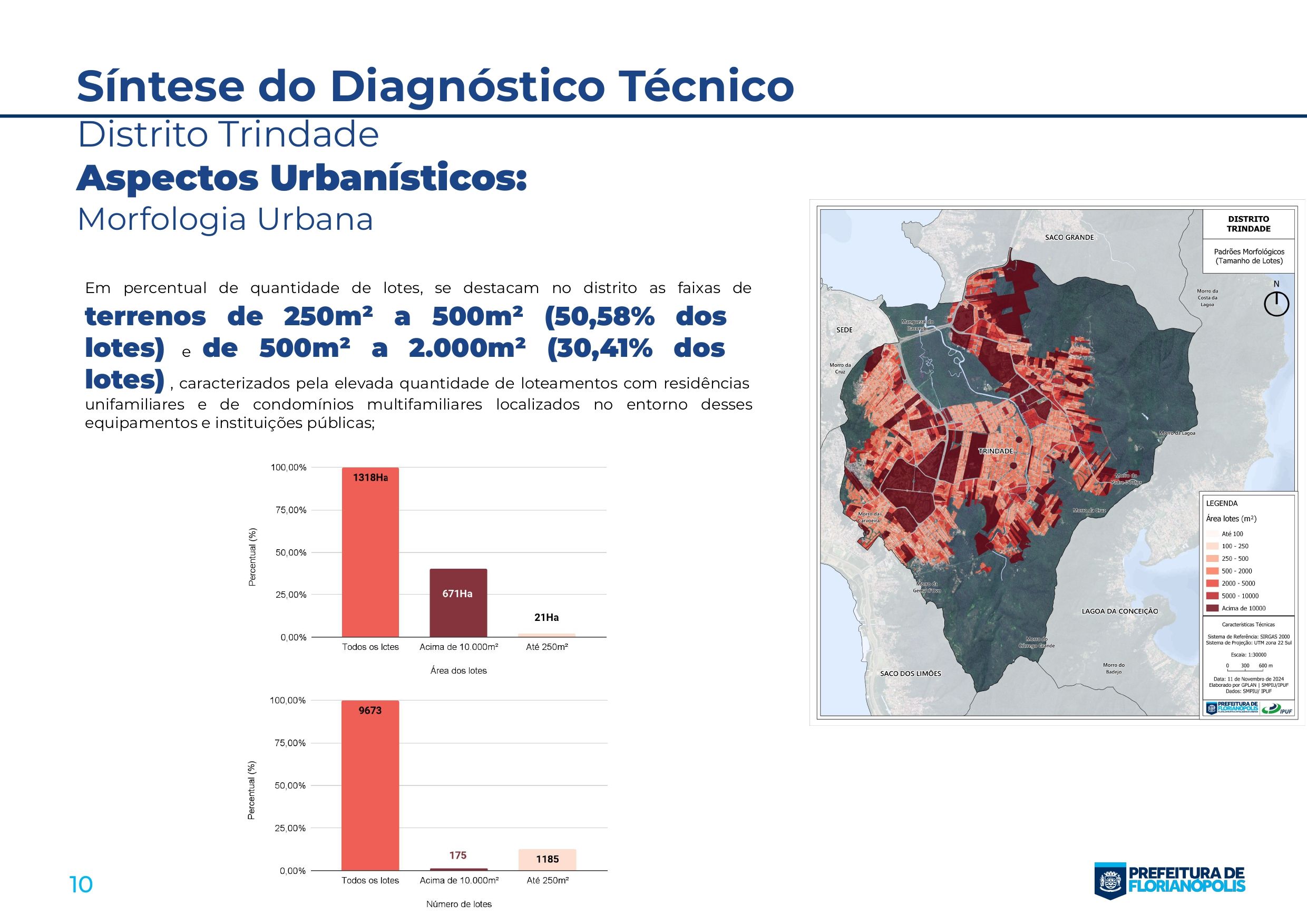 Síntese Trindade-0010.jpg