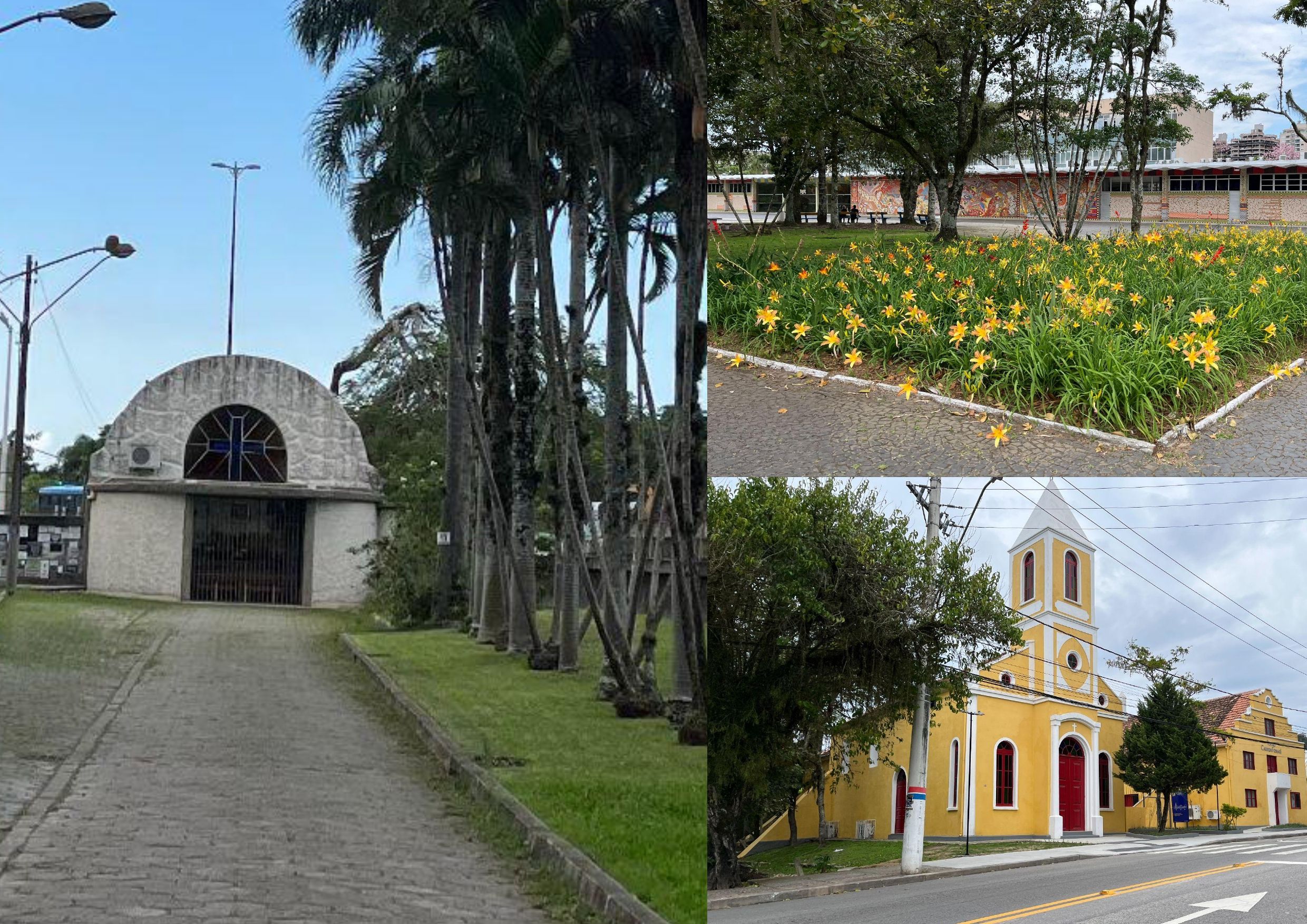 Síntese Trindade-0030.jpg